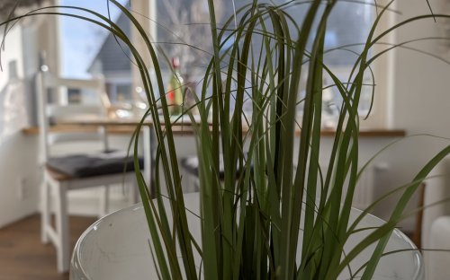 1a8_01_wohnzimmer_1.jpg