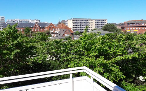 20170527_112806.jpg