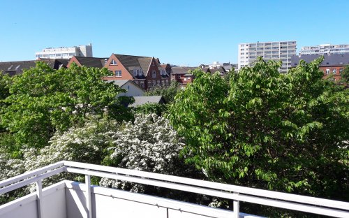 20170527_112814.jpg