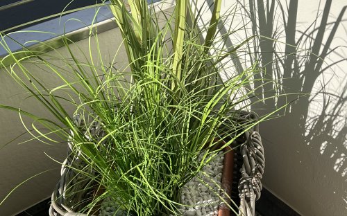 img_9202.jpeg
