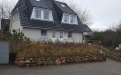 20171130_192806_resized.jpg