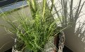 img_9202.jpeg